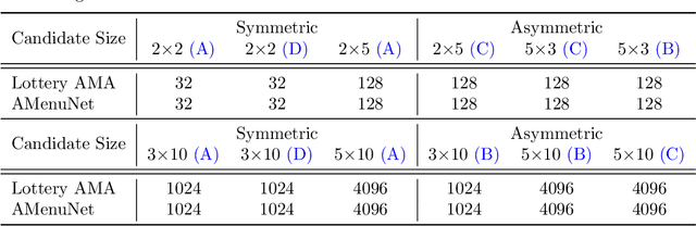 Figure 4 for Scalable Virtual Valuations Combinatorial Auction Design by Combining Zeroth-Order and First-Order Optimization Method