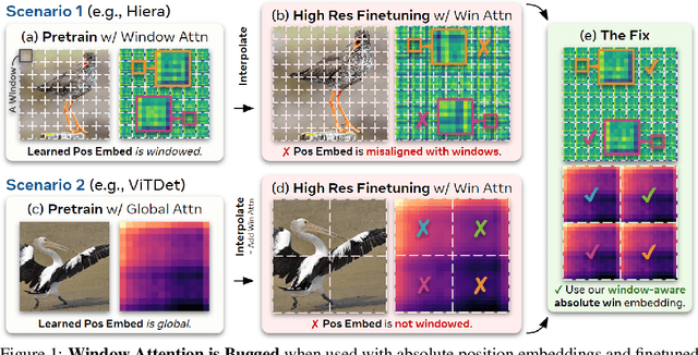 Figure 1 for Window Attention is Bugged: How not to Interpolate Position Embeddings