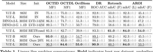 Figure 2 for Masked Image Modelling for retinal OCT understanding