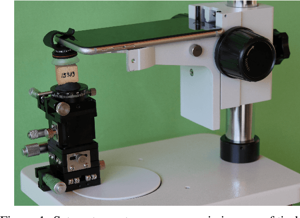 Figure 1 for Deep Learning methodology for the identification of wood species using high-resolution macroscopic images