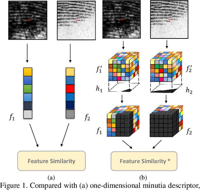 Figure 1 for Latent Fingerprint Matching via Dense Minutia Descriptor