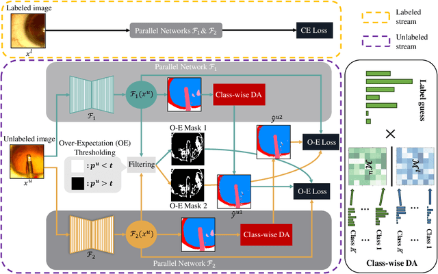 Figure 3 for Semi-Supervised Medical Image Segmentation with Co-Distribution Alignment