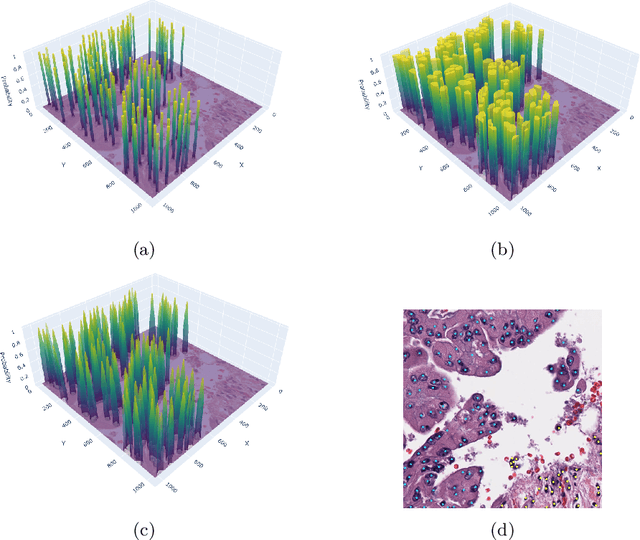 Figure 3 for SoftCTM: Cell detection by soft instance segmentation and consideration of cell-tissue interaction