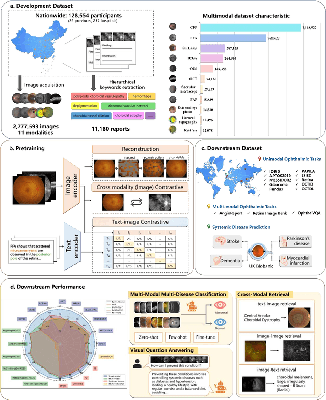 Figure 1 for EyeCLIP: A visual-language foundation model for multi-modal ophthalmic image analysis