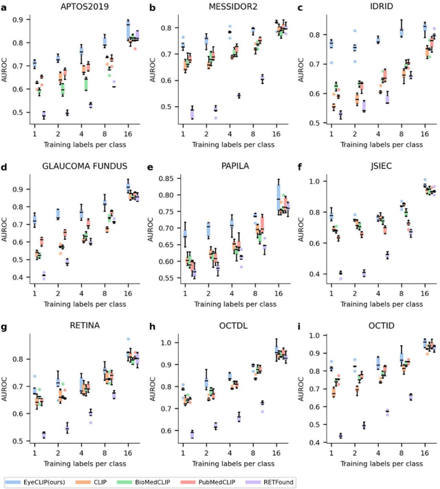 Figure 2 for EyeCLIP: A visual-language foundation model for multi-modal ophthalmic image analysis