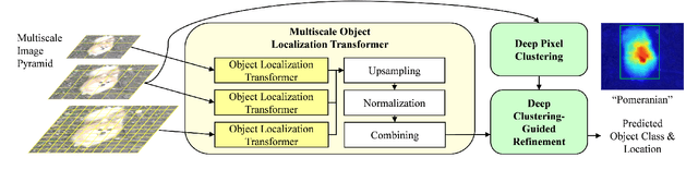 Figure 1 for Multiscale Vision Transformer With Deep Clustering-Guided Refinement for Weakly Supervised Object Localization