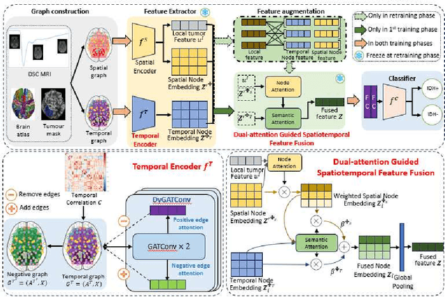 Figure 1 for Spatiotemporal Graph Neural Network Modelling Perfusion MRI