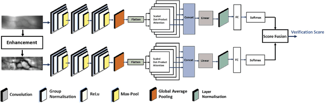Figure 3 for Fingervein Verification using Convolutional Multi-Head Attention Network