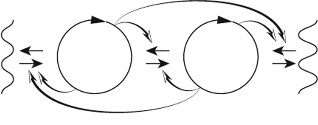 Figure 1 for The Lost Art of Mathematical Modelling