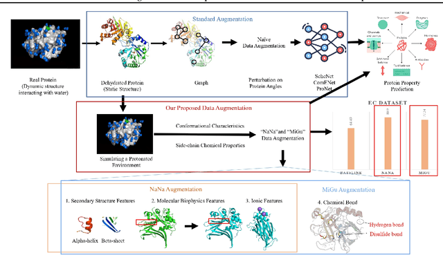 Figure 1 for NaNa and MiGu: Semantic Data Augmentation Techniques to Enhance Protein Classification in Graph Neural Networks