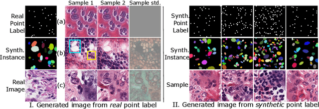 Figure 3 for Microscopy Image Segmentation via Point and Shape Regularized Data Synthesis