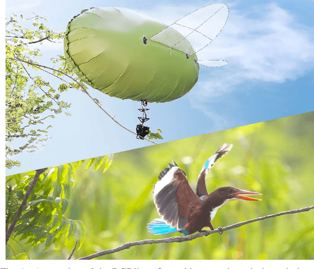 Figure 1 for RGBlimp-Q: Robotic Gliding Blimp With Moving Mass Control Based on a Bird-Inspired Continuum Arm