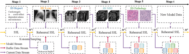 Figure 3 for Continual Self-supervised Learning: Towards Universal Multi-modal Medical Data Representation Learning
