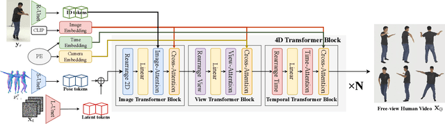 Figure 2 for Human4DiT: Free-view Human Video Generation with 4D Diffusion Transformer