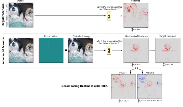 Figure 3 for Disentangled Explanations of Neural Network Predictions by Finding Relevant Subspaces