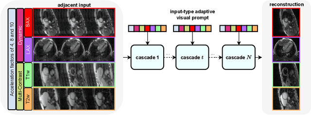 Figure 2 for Fill the K-Space and Refine the Image: Prompting for Dynamic and Multi-Contrast MRI Reconstruction