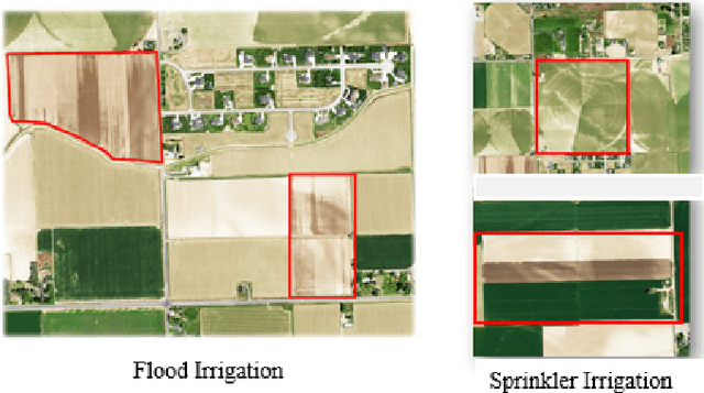 Figure 1 for IrrNet: Advancing Irrigation Mapping with Incremental Patch Size Training on Remote Sensing Imagery