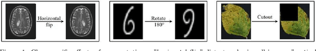 Figure 1 for Class-specific Data Augmentation for Plant Stress Classification