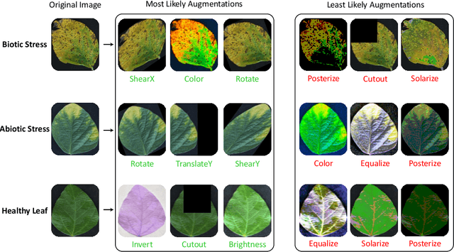 Figure 3 for Class-specific Data Augmentation for Plant Stress Classification