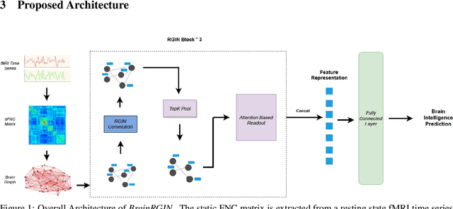 Figure 1 for Brain Networks and Intelligence: A Graph Neural Network Based Approach to Resting State fMRI Data