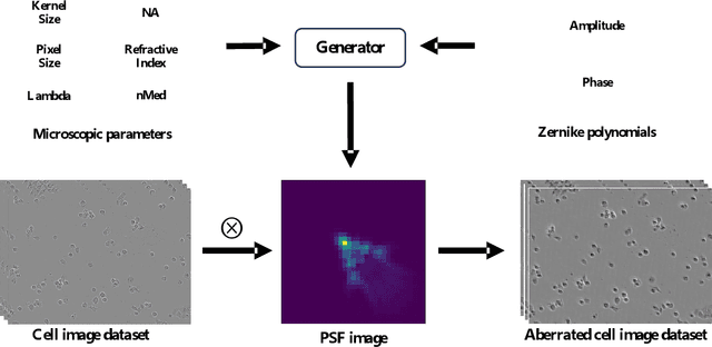 Figure 1 for Benchmarking the Cell Image Segmentation Models Robustness under the Microscope Optical Aberrations
