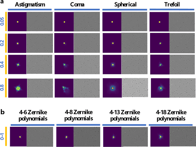 Figure 2 for Benchmarking the Cell Image Segmentation Models Robustness under the Microscope Optical Aberrations