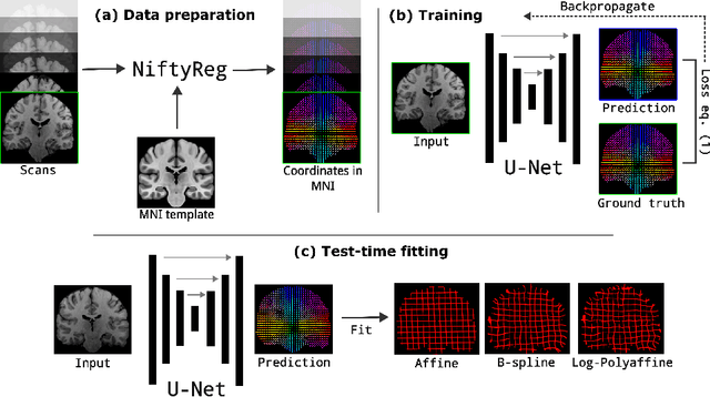 Figure 1 for Registration by Regression (RbR): a framework for interpretable and flexible atlas registration