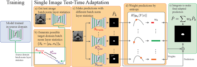 Figure 2 for Medical Image Segmentation with InTEnt: Integrated Entropy Weighting for Single Image Test-Time Adaptation