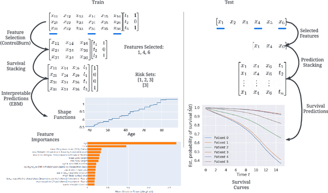 Figure 1 for Interpretable Survival Analysis for Heart Failure Risk Prediction