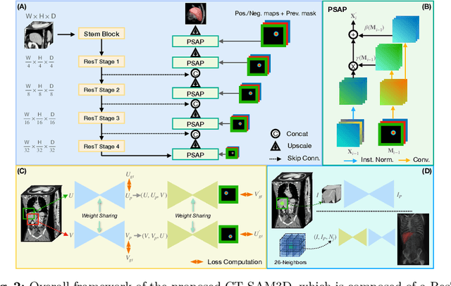 Figure 3 for Towards a Comprehensive, Efficient and Promptable Anatomic Structure Segmentation Model using 3D Whole-body CT Scans