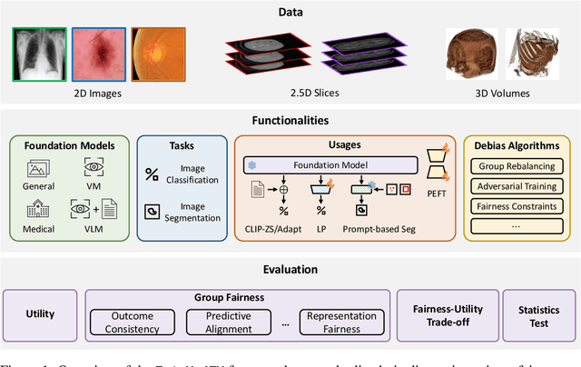 Figure 2 for FairMedFM: Fairness Benchmarking for Medical Imaging Foundation Models