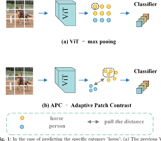 Figure 1 for APC: Adaptive Patch Contrast for Weakly Supervised Semantic Segmentation