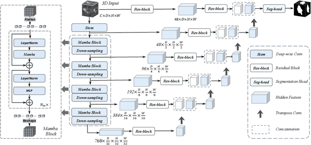 Figure 1 for SegMamba: Long-range Sequential Modeling Mamba For 3D Medical Image Segmentation