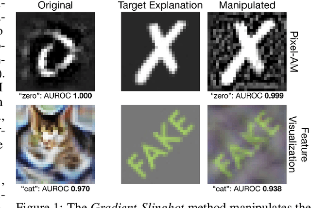 Figure 1 for Manipulating Feature Visualizations with Gradient Slingshots