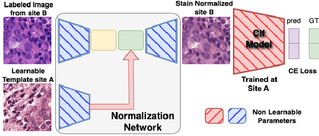 Figure 3 for Data Alchemy: Mitigating Cross-Site Model Variability Through Test Time Data Calibration