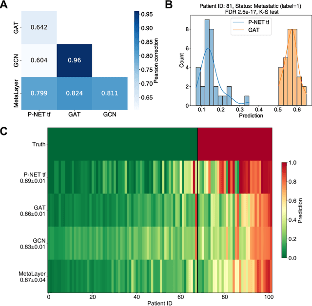 Figure 3 for Reusability report: Prostate cancer stratification with diverse biologically-informed neural architectures