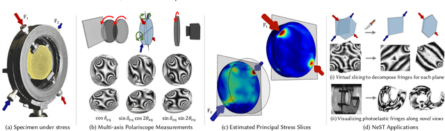 Figure 1 for NeST: Neural Stress Tensor Tomography by leveraging 3D Photoelasticity