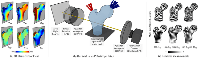 Figure 3 for NeST: Neural Stress Tensor Tomography by leveraging 3D Photoelasticity