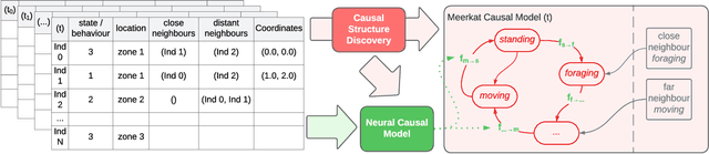 Figure 3 for Behaviour Modelling of Social Animals via Causal Structure Discovery and Graph Neural Networks