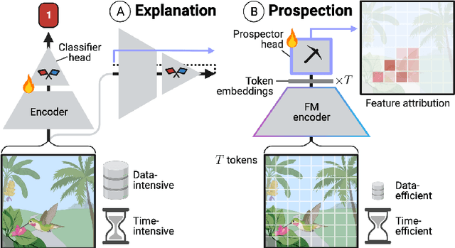 Figure 1 for Prospector Heads: Generalized Feature Attribution for Large Models & Data