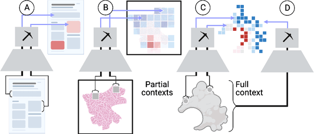 Figure 3 for Prospector Heads: Generalized Feature Attribution for Large Models & Data