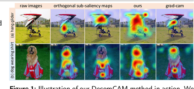 Figure 1 for DecomCAM: Advancing Beyond Saliency Maps through Decomposition and Integration