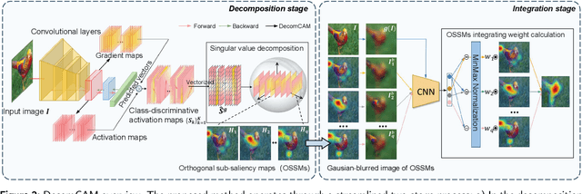 Figure 3 for DecomCAM: Advancing Beyond Saliency Maps through Decomposition and Integration