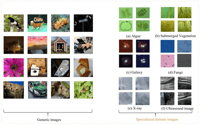 Figure 1 for Simple but Effective Unsupervised Classification for Specified Domain Images: A Case Study on Fungi Images