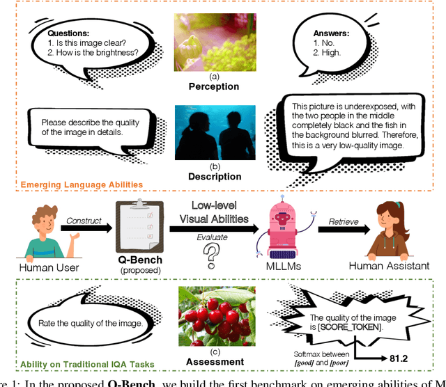 Figure 1 for Q-Bench: A Benchmark for General-Purpose Foundation Models on Low-level Vision