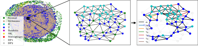 Figure 1 for Tertiary Lymphoid Structures Generation through Graph-based Diffusion