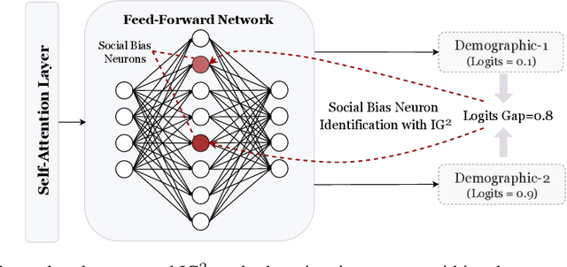 Figure 1 for The Devil is in the Neurons: Interpreting and Mitigating Social Biases in Pre-trained Language Models