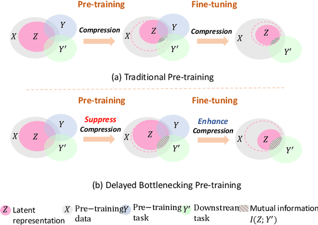 Figure 1 for Delayed Bottlenecking: Alleviating Forgetting in Pre-trained Graph Neural Networks