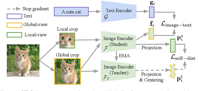 Figure 1 for SILC: Improving Vision Language Pretraining with Self-Distillation