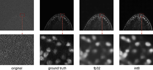 Figure 4 for EfficientBioAI: Making Bioimaging AI Models Efficient in Energy, Latency and Representation